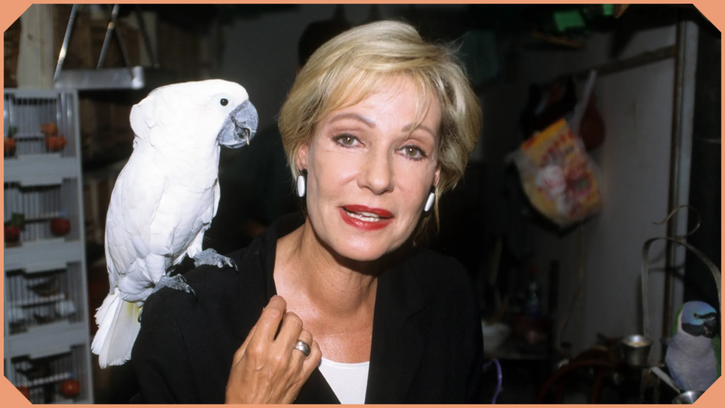 Dagmar Berghoff Schlaganfall: Ihre Reise der Genesung und Rückkehr dagmar berghoff schlaganfall