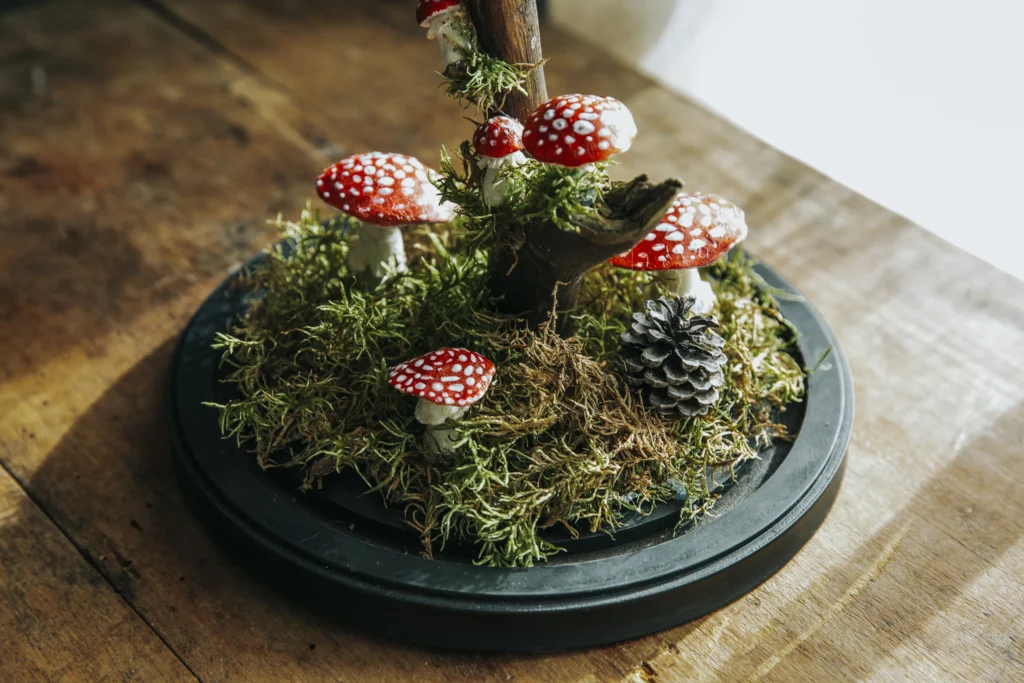 Fliegenpilz und Kreativität