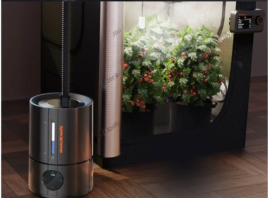 Einstecken einschalten, grün starten: Das Growbox-Komplettset ohne Kopfzerbrechen Einstecken einschalten