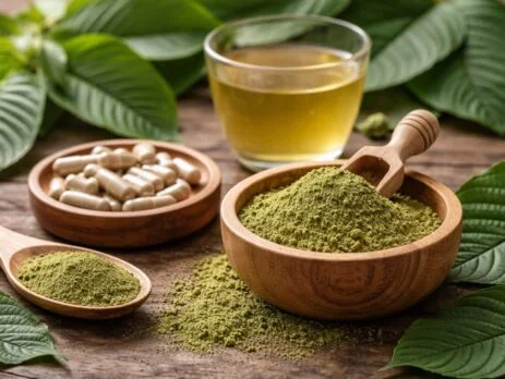 Kratom-Qualität erkennen: Herkunft & Verarbeitung Kratom-Qualität erkennen